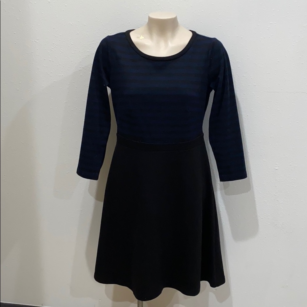 Ann Taylor Loft Dress